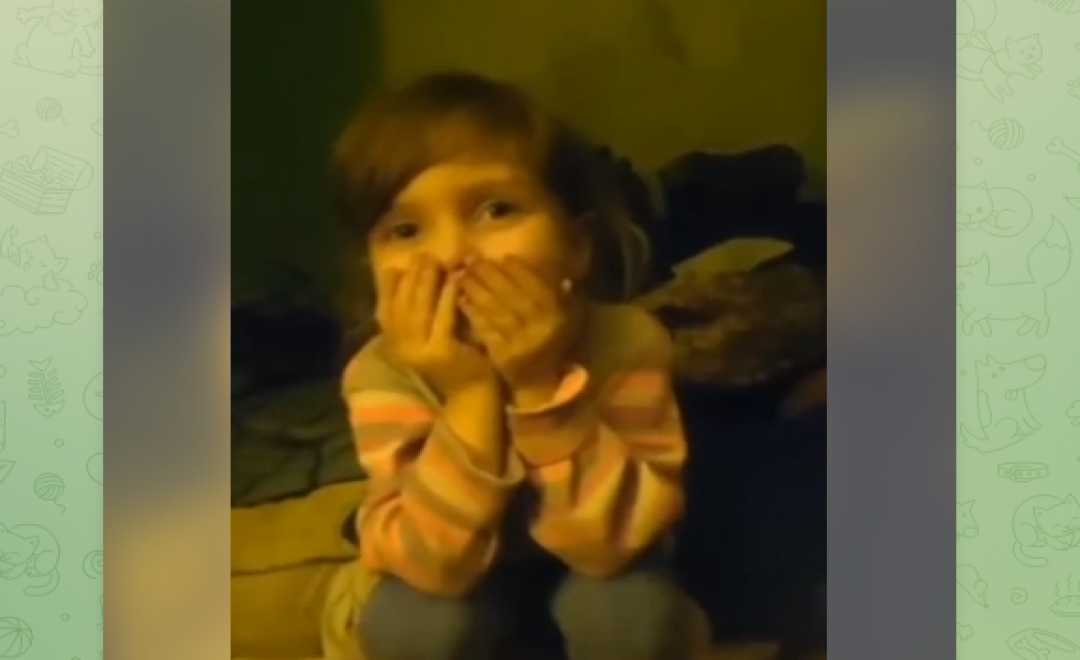 "აზოვსტალიდან" ევაკუაციისას ოკუპანტებმა 4 წლის ალისას დედა "ფილტრაციის ბანაკში" დატოვეს, ბავშვი კი მარტო გაუშვეს (ვიდეო)