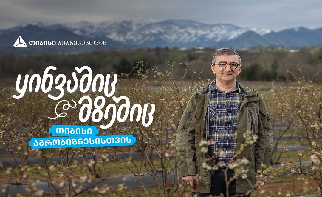 თიბისი აგრობიზნესისთვის - აჭარული  ლურჯი მოცვის მოგზაურობა დასავლურ ბაზრებზე  1746187787agro-a5-მოცვი.jpg