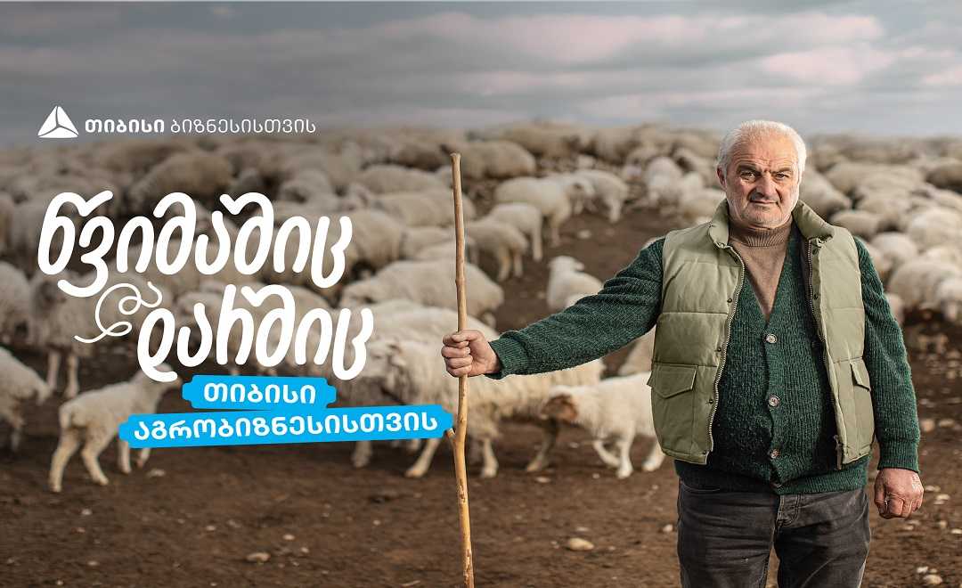 თიბისი აგრობიზნესისთვის - ჯუნო ჩიბურდანიძის ცხვრის ფარა- როგორ იქცა ოჯახური ტრადიცია წარმატებულ ფერმად 1746528681agro-a5-2.jpg