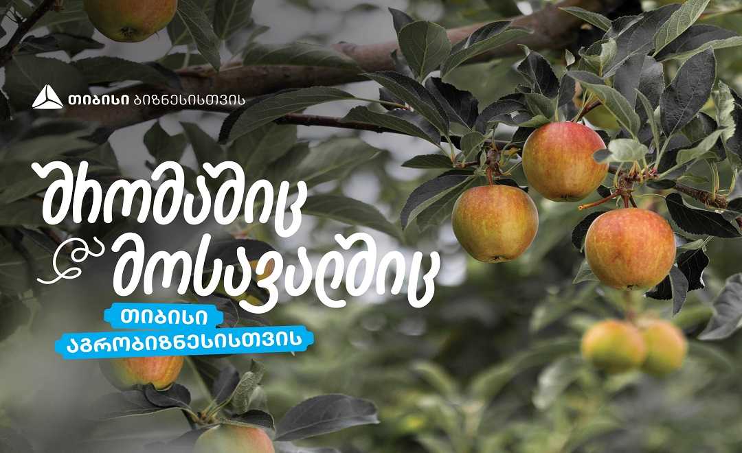 თიბისი აგრობიზნესისთვის - „ჭარებულას“ ვაშლის ბაღები ქართლში 1747309237agro-a5-ვაშლი.jpg