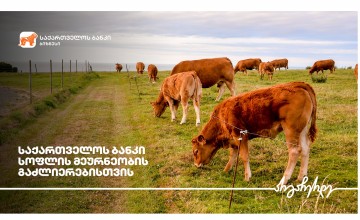 საქართველოში კორონავირუსით კიდევ სამი პაციენტი გარდაიცვალა