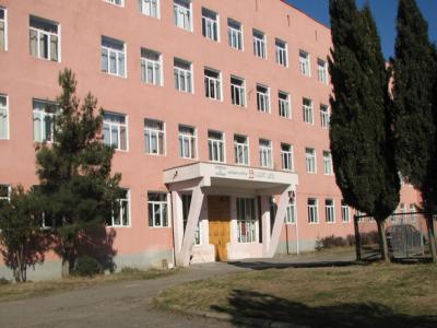 გლდანის 59-ე სკოლაში პირველკლასელი ბავშვის გარდაცვალების მიზეზი ექსპერტიზამ დაადგინა
