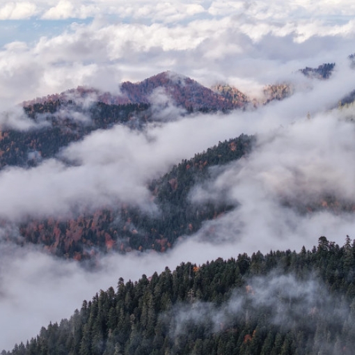 „საირმეს რეკრეაციული ფერმა“ ნიკა ლებანიძის ობიექტივში