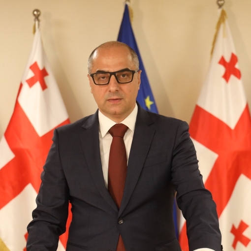 "მიზანია, რომ ახალგაზრდები, არა მხოლოდ ევროპული განათლების პერსპექტივებს დაემშვიდობონ, არამედ, აუდიტორიებში, მათ მიერ „ვიზირებული“ ლექტორები შევიდნენ".