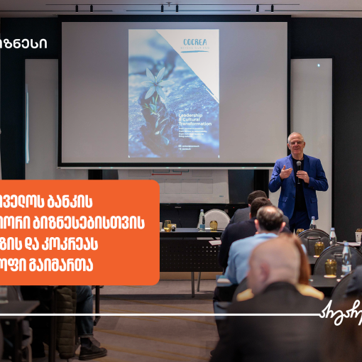 საქართველოს ბანკის ინიციატივით, ბიზნესებისთვის მაკკინზის და კოკრეას ვორქშოფები ჩატარდა