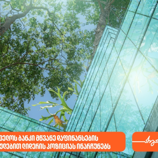 ეროვნული ბანკი: საქართველოს ბანკი მწვანე დაფინანსების მიმართულებით ლიდერის პოზიციას ინარჩუნებს