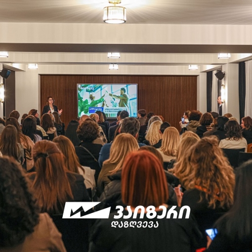 “ვაიზერმა” ტურისტულ სექტორს სამოგზაურო პოლისების ახალი პლატფორმა წარუდგინა