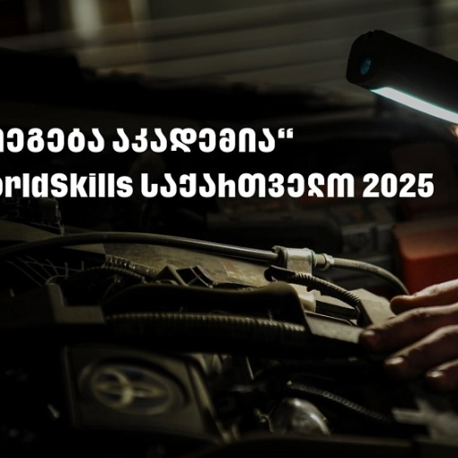 WorldSkills 2025 - „თეგეტა აკადემიას“ მხარდაჭერით საქართველოში პირველად საავტომობილო ტექნოლოგიების ეროვნული კონკურსი გაიმართა