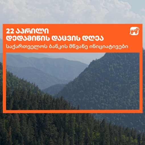 საქართველოს ბანკი დედამიწის დღეს მწვანე ინიციატივებს აჯამებს
