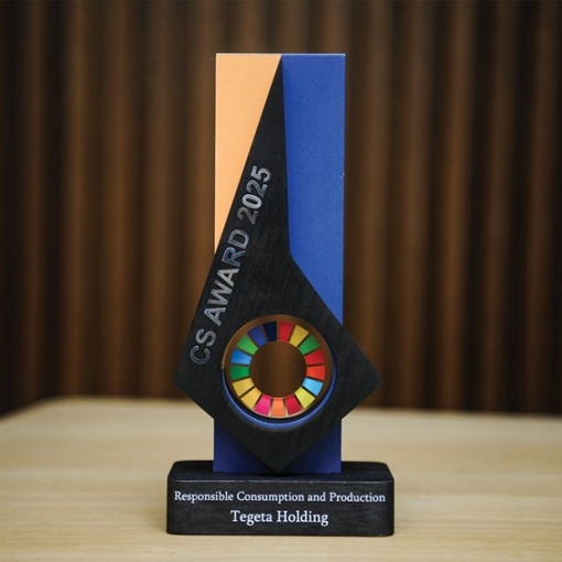 CS AWARD 2025 - „თეგეტა“ ნომინაციაში - „მდგრადი მოხმარება და წარმოება“ გამარჯვებულია