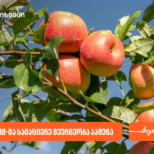 საქართველოს ბანკის მხარდაჭერით, შპს პომ-მა სამაცივრე მეურნეობა ააშენა