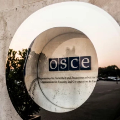 "მოვითხოვთ, ამოქმედდეს ეუთოს მოსკოვის მექანიზმი" - 24 ევროპული ქვეყანა საქართველოზე