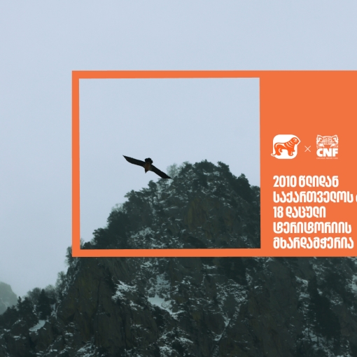 საქართველოს ბანკი 2010 წლიდან  18 დაცული ტერიტორიის მხარდამჭერია