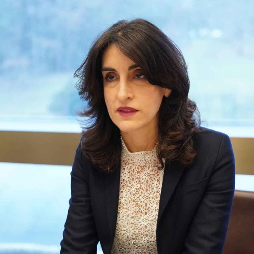 "გვაქვს მოლოდინი, რომ ამერიკის შეერთებული შტატების ახალი ადმინისტრაციის დღის წესრიგში საქართველო უახლოეს მომავალში დადგება"