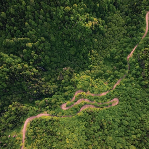 „საირმეს რეკრეაციულ ფერმაში“ ეკოგანათლების პროექტი იწყება: პრაქტიკაზე დაფუძნებული სწავლება და სახალისო აქტივობები