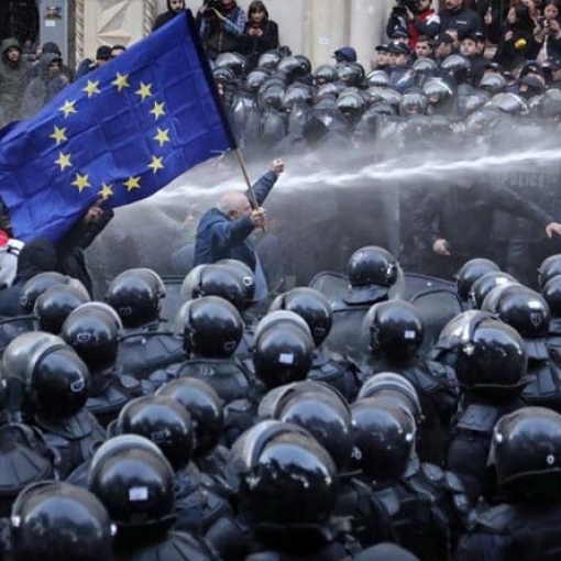 ევროპარლამენტარები ითხოვენ გამოძიებას, რომლითაც დადგინდება, რა ნივთიერება გამოიყენეს საქართველოში აქციების დაშლის დროს