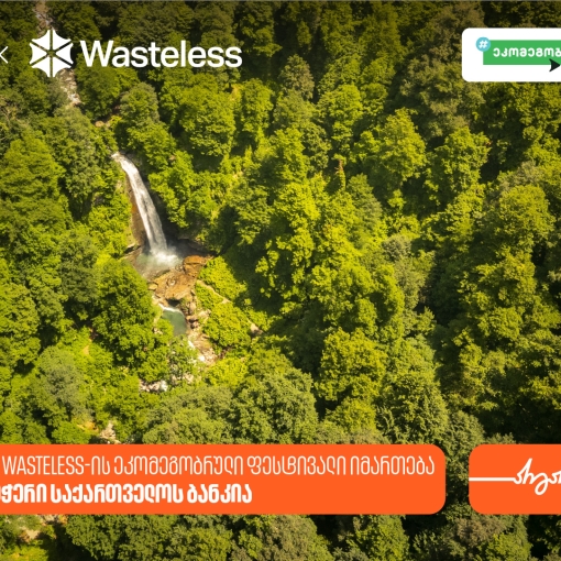 კახეთში Wasteless-ის ეკომეგობრული ფესტივალი იმართება - მხარდამჭერი საქართველოს ბანკია