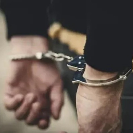 "რუსეთის ფედერაციის მოქალაქე 1980 წელს დაბადებული დ.შ. დააკავეს"