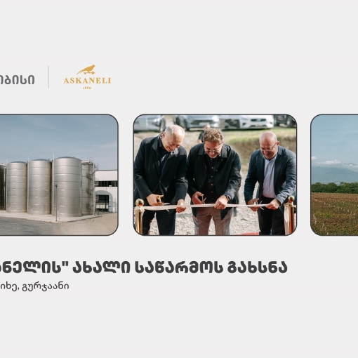 თიბისის მხარდაჭერით, ბაკურციხეში “ასკანელის” ქარხანა გაიხსნა