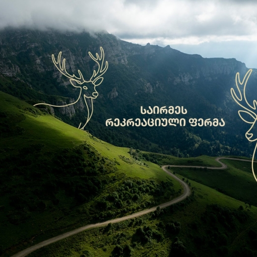 „საირმეს რეკრეაციული ფერმა“ – 1 წელში ინვესტირებული 900 000 ლარი და სამომავლო გეგმები