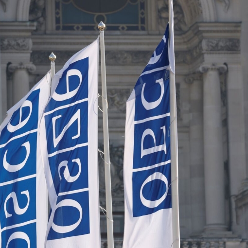 "რა შედეგი შეიძლება მოჰყვეს ეუთოს სპეციალური მექანიზმის ამოქმედებას? ეს არ არის უბრალოდ მორიგი მკაცრი საერთაშორისო პროცესი..."