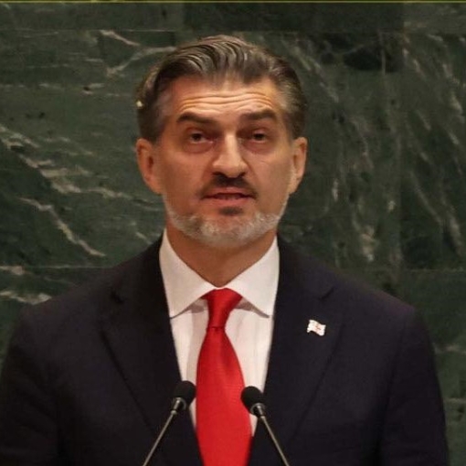 "გაერთიანებულმა ერების ორგანიზაციამ უნდა უზრუნველყოს ჩვენი პლანეტის ტრანზიცია" - ყაველაშვილი