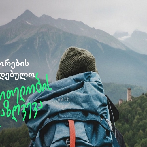 “ვაიზერი” საქართველოში შემოსულ ვიზიტორებს სავალდებულო დაზღვევის მარტივ, სწრაფ და ციფრულ სერვისს სთავაზობს