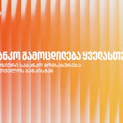 საქართველოს ბანკი ქმნის ინკლუზიურ საბანკო მომსახურებას