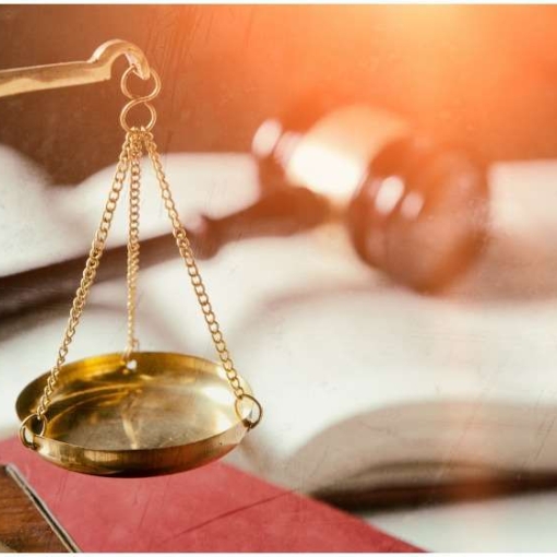 2013 წლიდან დღემდე, 2025 წელს ადმინისტრაციული პატიმრობის შეფარდების ისტორიული მაქსიმუმი დაფიქსირდა