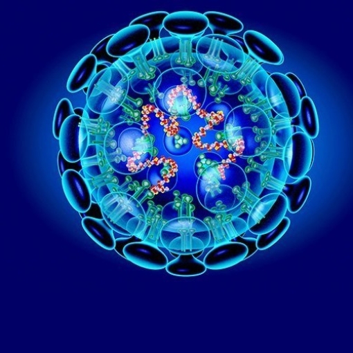 ინდოეთში ახალი სასიკვდილო ვირუსი დაფიქსირდა, რამდენიმე პირი დაინფიცირდა, 100 ადამიანი კი - თვითიზოლაციაშია