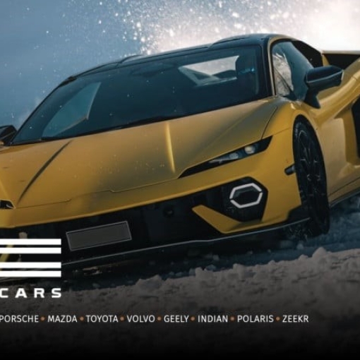 „თეგეტა ქარსის“ 2025 -  რეკორდული გაყიდვები, ახალი ბრენდები და  რეგიონული ექსპანსია