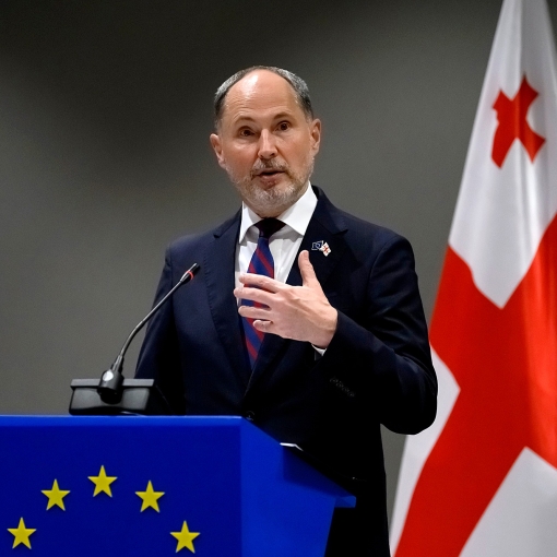 "ხელისუფლებამ აირჩია ალტერნატიული, ავტორიტარიზმის მოდელი და საქართველოს ევროკავშირს აშორებს"