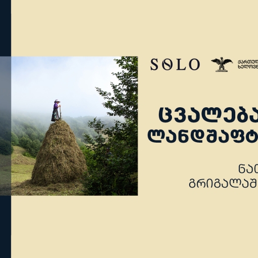 SOLO-სთან პარტნიორობით, ნათელა გრიგალაშვილის გამოფენა „ცვალებადი ლანდშაფტები“ იხსნება