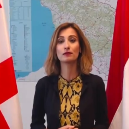 "გულწრფელ სამძიმარს ვუცხადებ ქართველ ხალხს" - ნიდერლანდების ელჩი