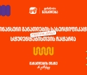 ფინანსური განათლების სასერტიფიკატო კურსს 100-მდე ახალგაზრდა დაესწრო - პროექტის მხარდამჭერია საქართველოს ბანკი