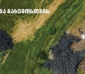 „თეგეტა მოტორსი“ გარემოსთვის - დაბა ბაკურიანი საავტომობილო ნარჩენებისგან გაწმენდილია