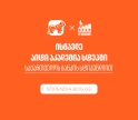 მიიღე საქართველოს ბანკის სტიპენდია IT აკადემია Step-ში და დაეუფლე ახალ პროფესიას