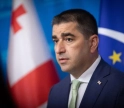 პაპუაშვილი: "თუკი ვინმეს აქვს უკუსვლა, ეს სწორედ ევროკავშირის დღევანდელი მმართველი ინსტიტუციებია"