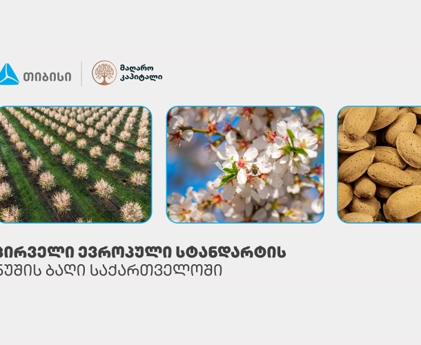 პირველი, სრულად ევროპული სტანდარტის ნუშის ბაღი საქართველოში - თიბისის მხარდაჭერით, კახეთში აგროპროექტი ვითარდება