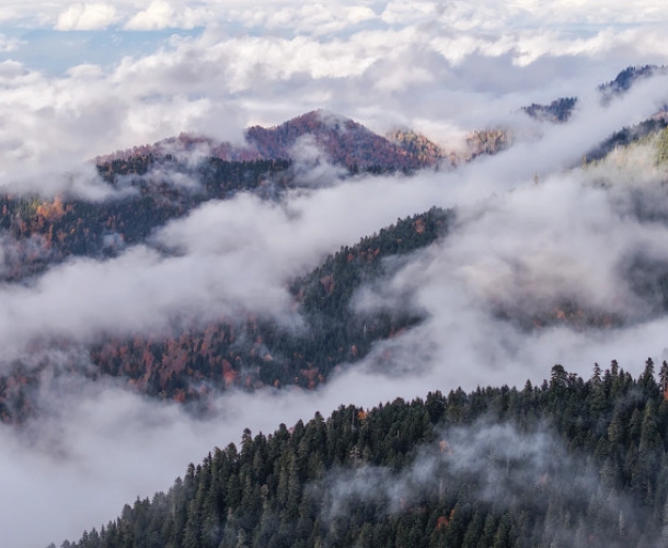 „საირმეს რეკრეაციული ფერმა“ ნიკა ლებანიძის ობიექტივში