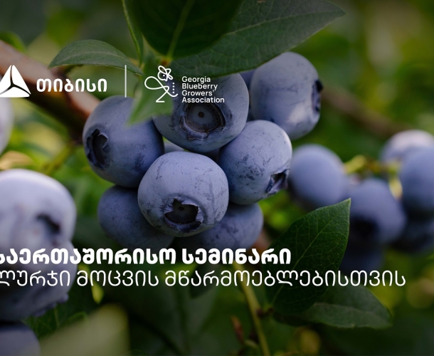 თიბისის მხარდაჭერით, ლურჯი მოცვის მწარმოებლებისთვის საერთაშორისო სემინარი გაიმართა