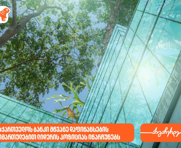 ეროვნული ბანკი: საქართველოს ბანკი მწვანე დაფინანსების მიმართულებით ლიდერის პოზიციას ინარჩუნებს