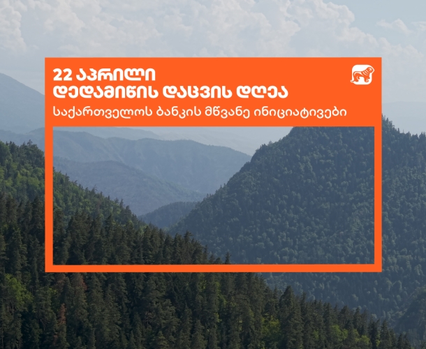 საქართველოს ბანკი დედამიწის დღეს მწვანე ინიციატივებს აჯამებს
