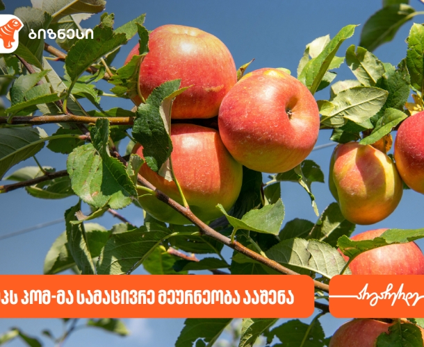 საქართველოს ბანკის მხარდაჭერით, შპს პომ-მა სამაცივრე მეურნეობა ააშენა