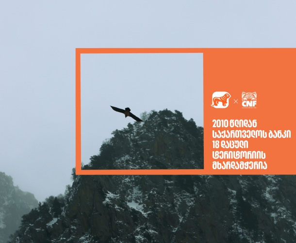 საქართველოს ბანკი 2010 წლიდან  18 დაცული ტერიტორიის მხარდამჭერია