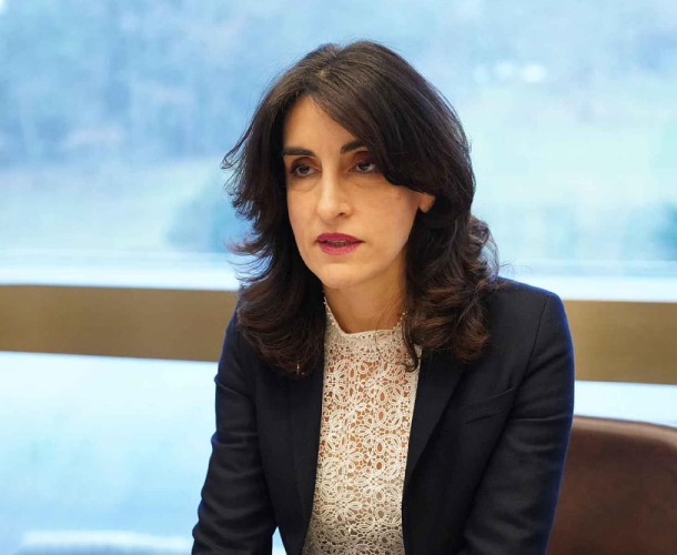 "გვაქვს მოლოდინი, რომ ამერიკის შეერთებული შტატების ახალი ადმინისტრაციის დღის წესრიგში საქართველო უახლოეს მომავალში დადგება"