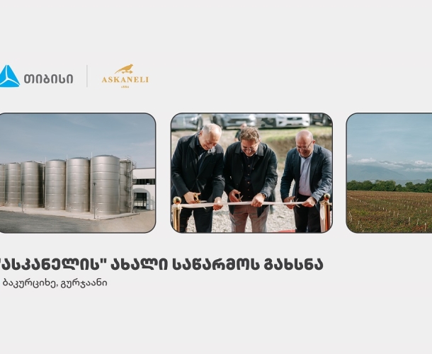თიბისის მხარდაჭერით, ბაკურციხეში “ასკანელის” ქარხანა გაიხსნა