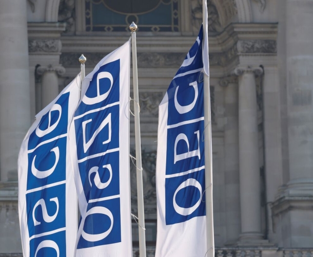 "რა შედეგი შეიძლება მოჰყვეს ეუთოს სპეციალური მექანიზმის ამოქმედებას? ეს არ არის უბრალოდ მორიგი მკაცრი საერთაშორისო პროცესი..."