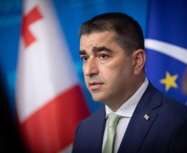 პაპუაშვილი: "თუკი ვინმეს აქვს უკუსვლა, ეს სწორედ ევროკავშირის დღევანდელი მმართველი ინსტიტუციებია"