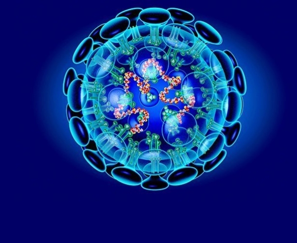 ინდოეთში ახალი სასიკვდილო ვირუსი დაფიქსირდა, რამდენიმე პირი დაინფიცირდა, 100 ადამიანი კი - თვითიზოლაციაშია